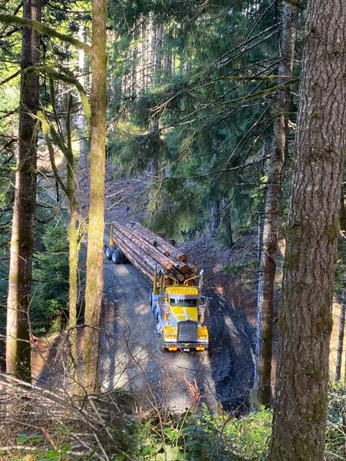 Log truck transporting logs.